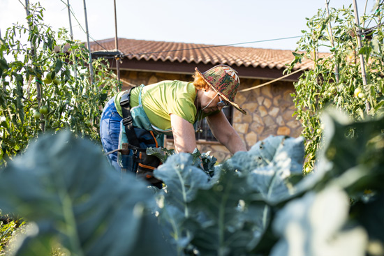 Organic Gardening Advice: Our Complete Garden Know-How Series